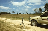 652_Birdwatching, binnenland bij Port Douglas